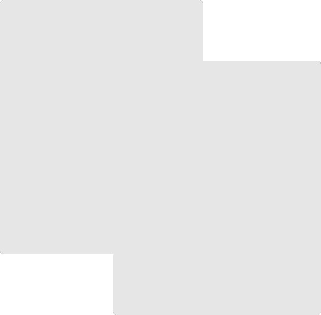 Asset Media