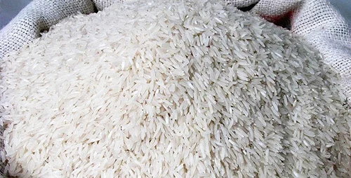 Rice