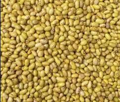 Yellow Beans
