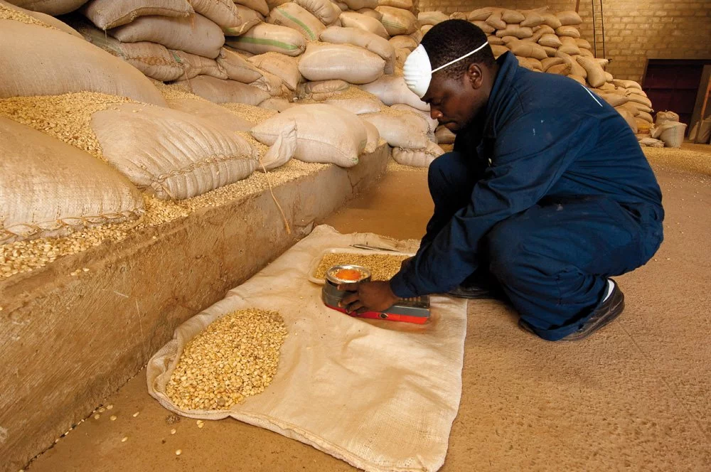Why Crop Traders Don’t Struggle With Crops, They Struggle With Systems  (By Gloria Minja)